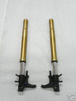 Suzuki GSX-R 750 1997-2010 Fork Rebuild Service.