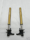 Suzuki GSX-R 1000 2001-2008 Fork Rebuild Service.